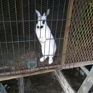 Meet your Posher, Shane