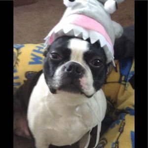 Meet your Posher, Annette