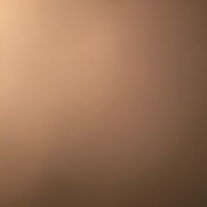 Meet your Posher, Arianna