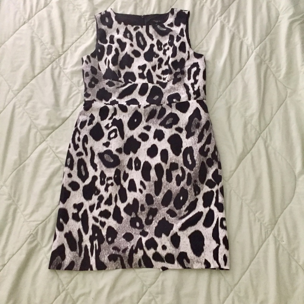 Ann Taylor 🖤 leopard shift dress 6p🐆