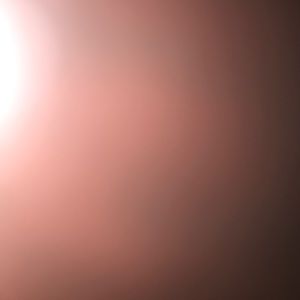 Meet your Posher, Molly