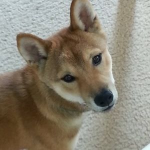 Meet your Posher, Melinda