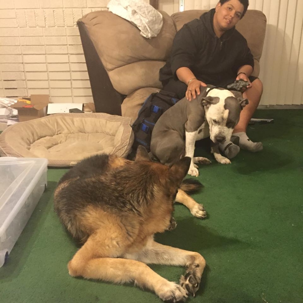 Meet your Posher, Lanie