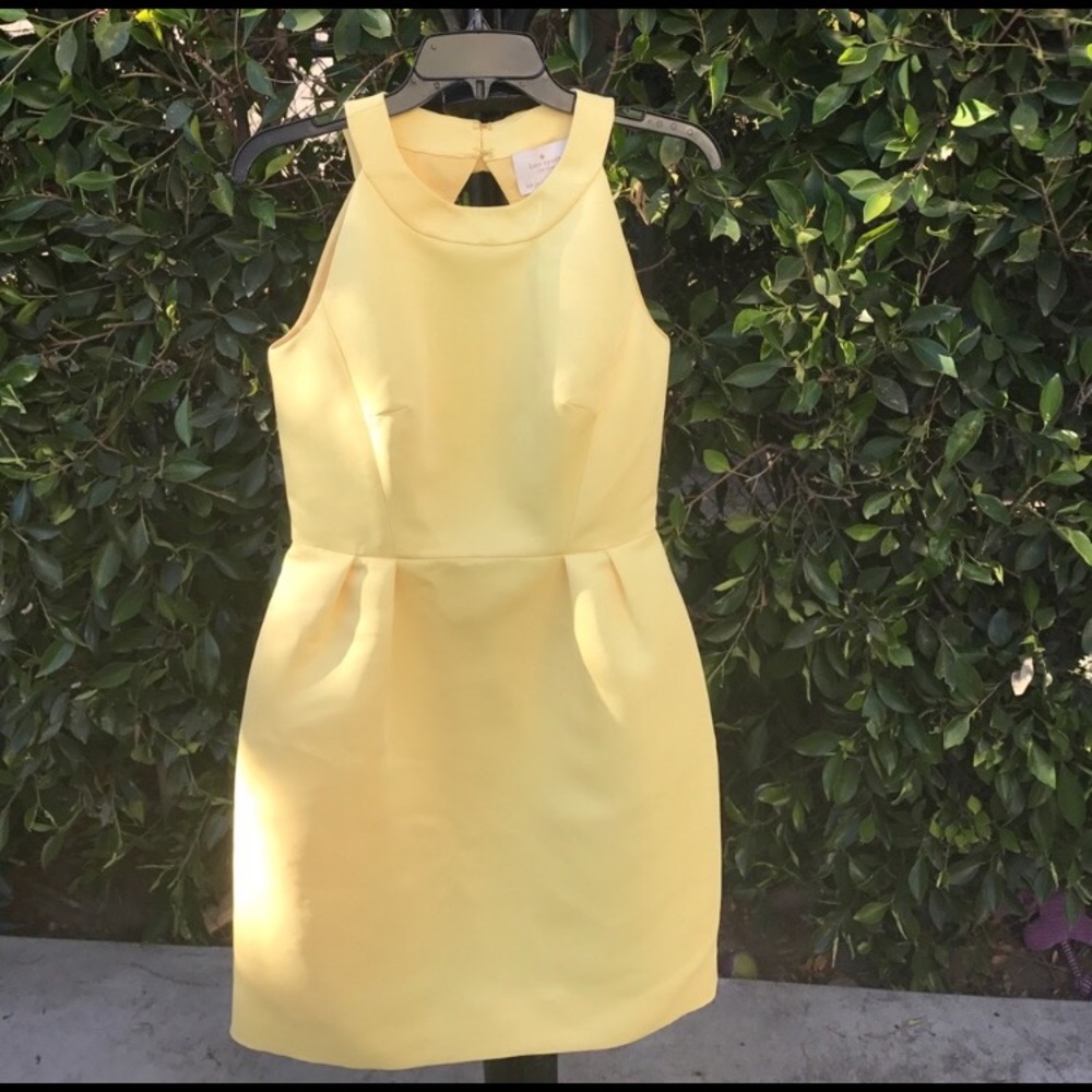 NWT Kate Spade Bow Back Cupcake Dress