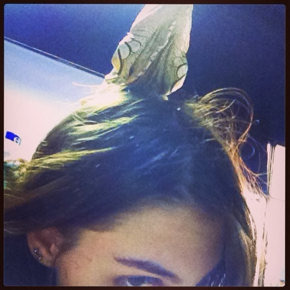 Meet your Posher, Shelly