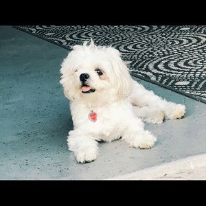 Meet your Posher, Laniah