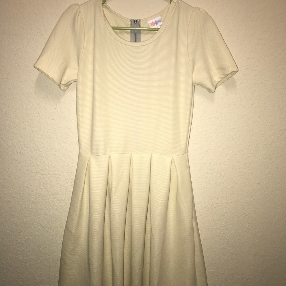 LuLaRoe Amelia - WORN ONCE!