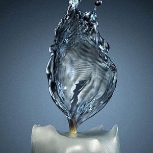 Meet your Posher, Jamur