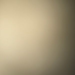 Meet your Posher, Ashton