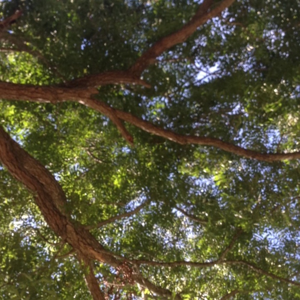 Meet your Posher, Harper