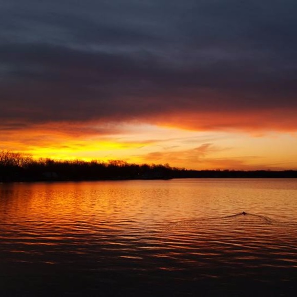 Meet your Posher, Robbi - Picture 7 of 7