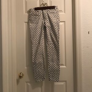 LOFT polka dot pants!