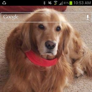 Meet your Posher, Judith