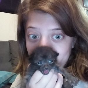 Meet your Posher, Dylan