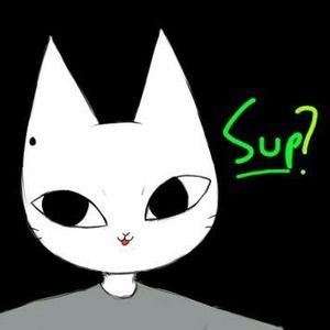 Meet your Posher, Casper