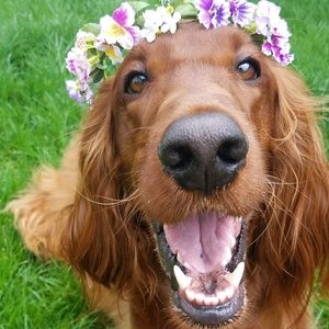 Meet your Posher, Julianna