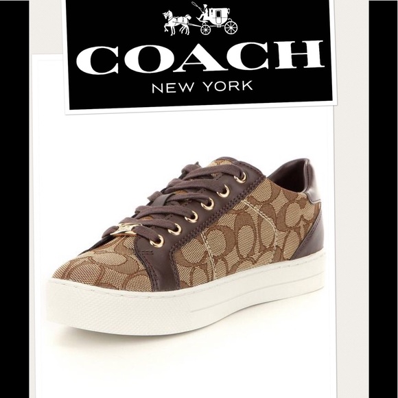 coach platform sneakers