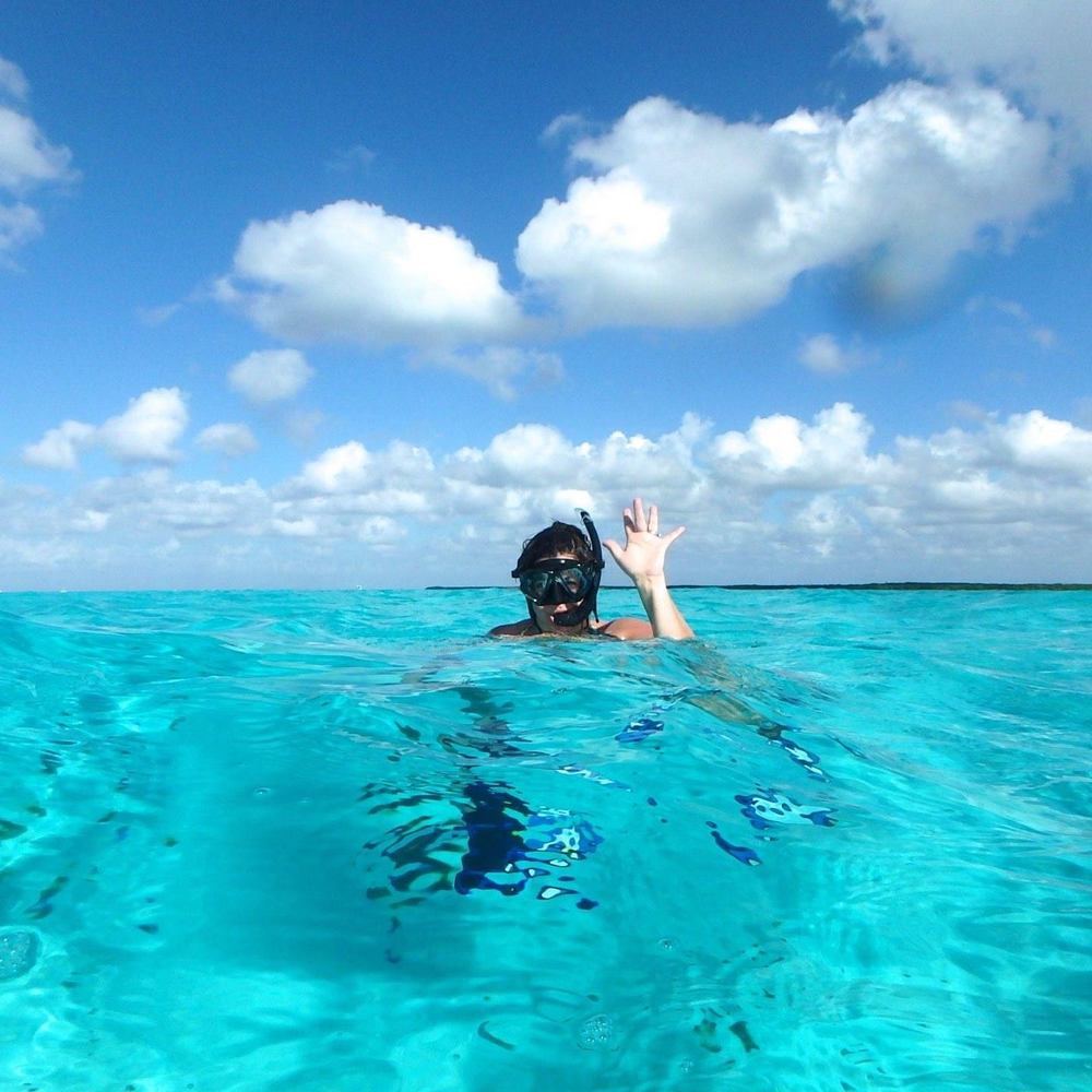 Meet your Posher, Sandy