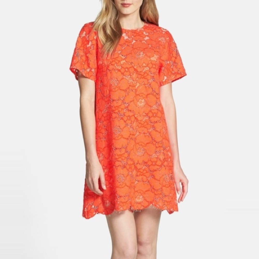 Stunning orange lace BCBG mini dress