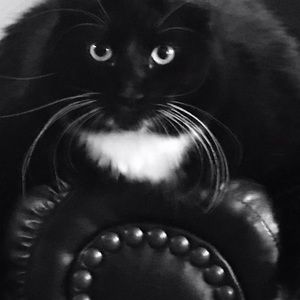 Meet your Posher, Seth