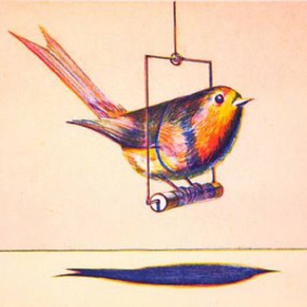 Meet your Posher, Lindsay