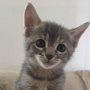 Meet your Posher, Beverly