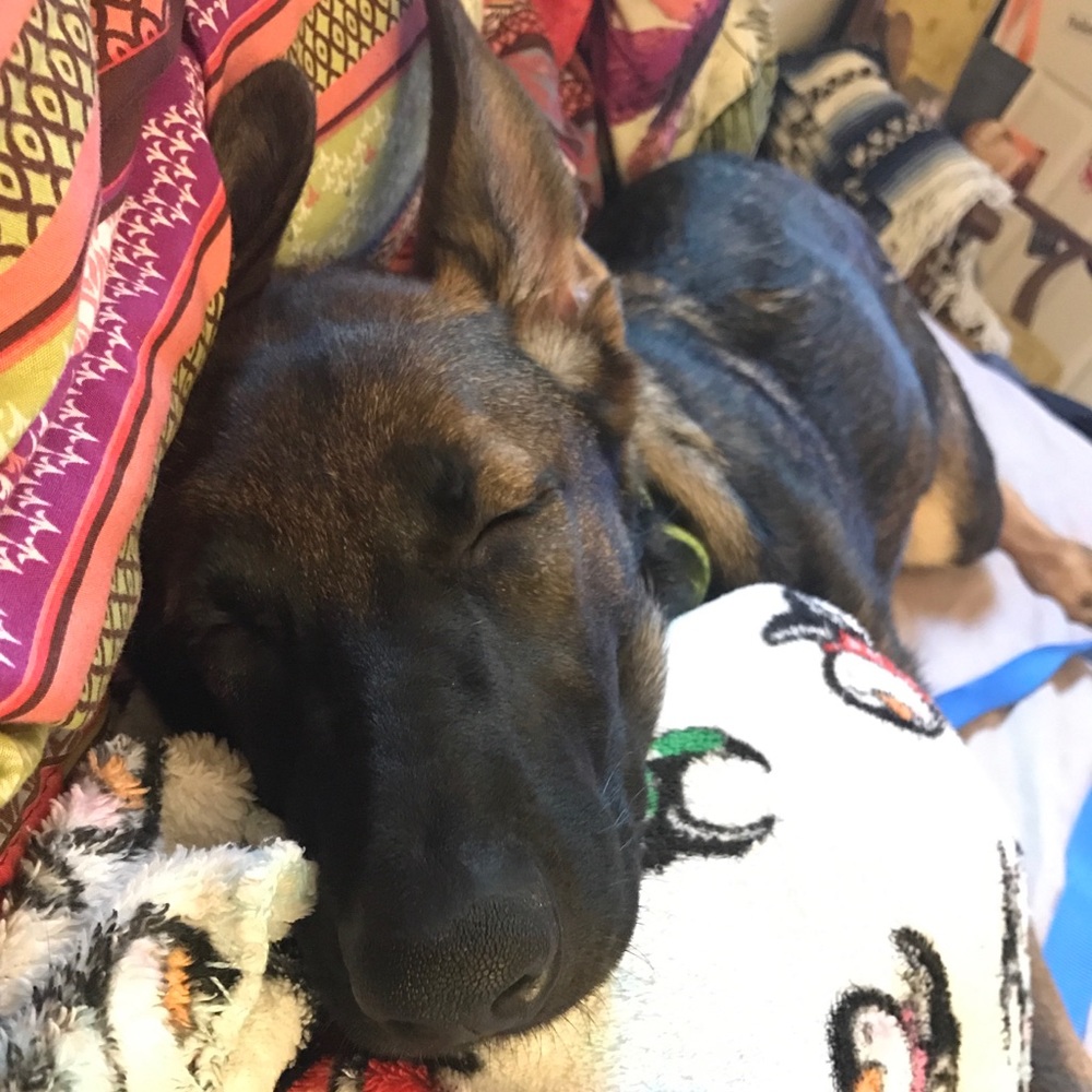 ✨meet your posher!😊✨