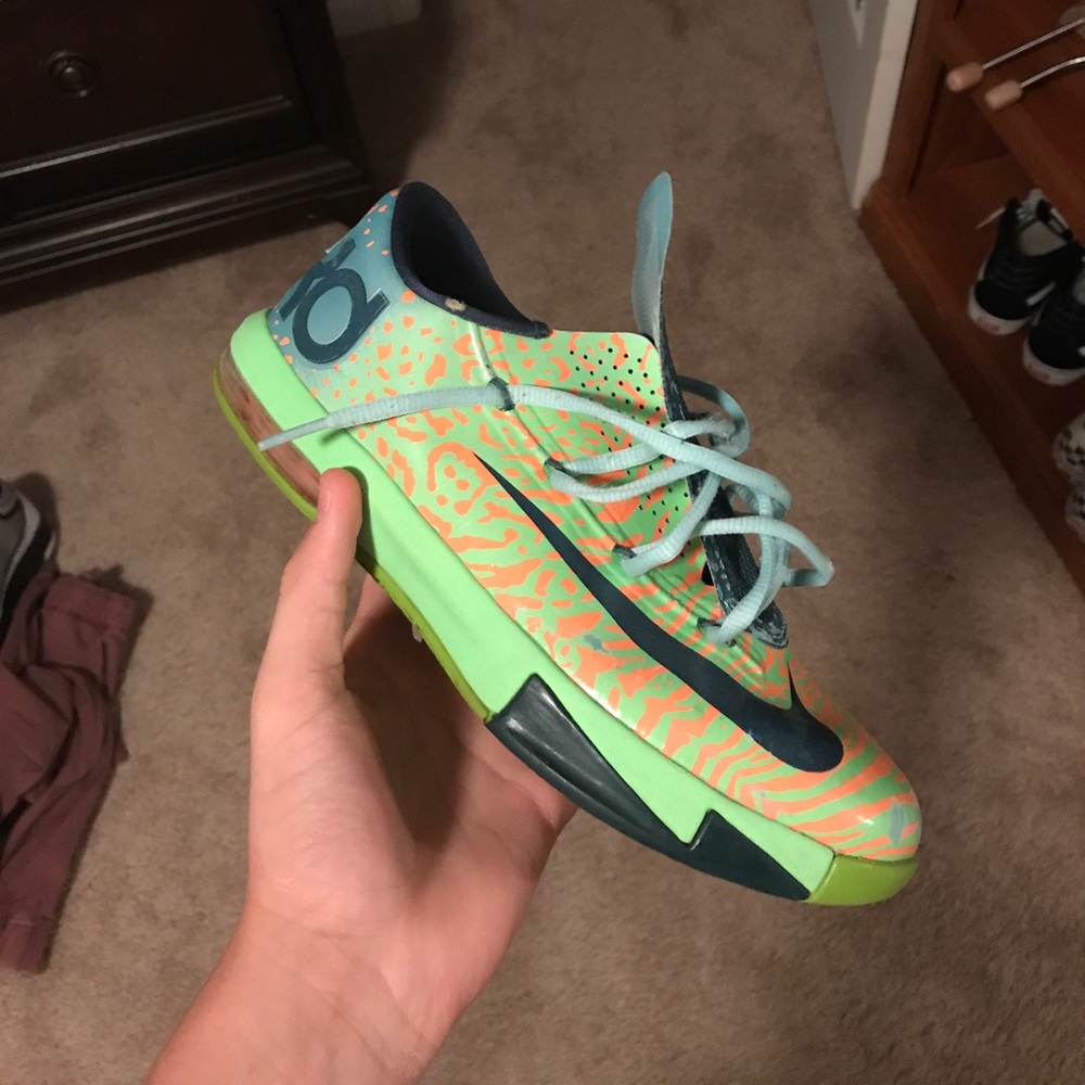 Kd 6 ligers