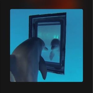 Meet your Posher, Ulises