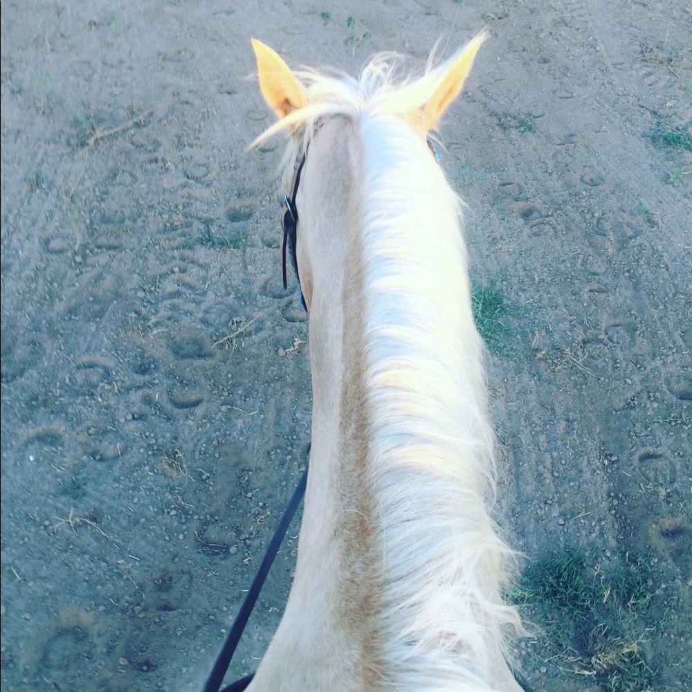 Meet your Posher, Erin