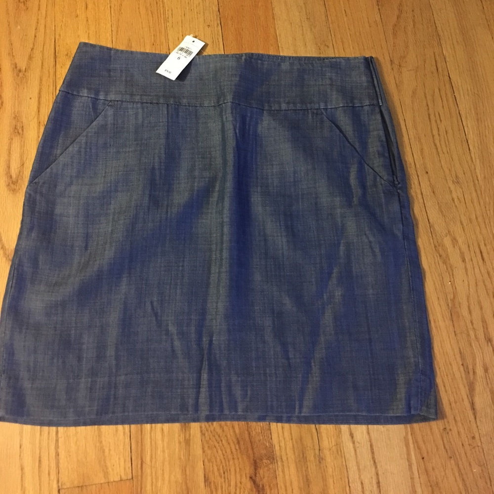 Ann Taylor Skirt