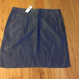 Ann Taylor Skirt