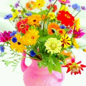 Meet your Posher, Maria