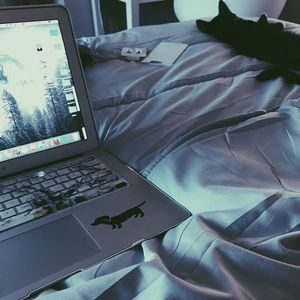 Meet your Posher, Denise