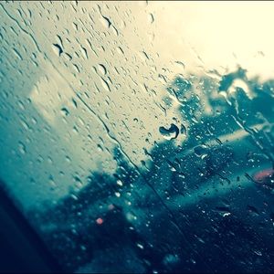 Meet your Posher, Nina