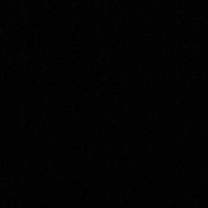 Meet your Posher, Ally