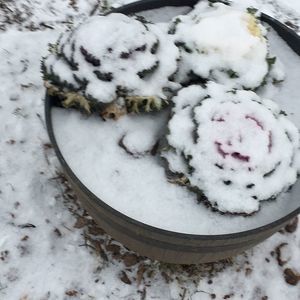 Meet your Posher, Kathleen