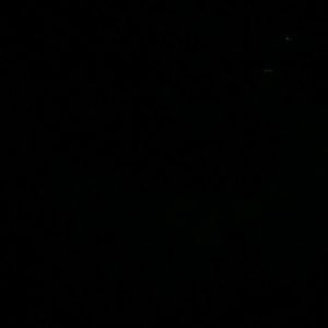 Meet your Posher, Andre