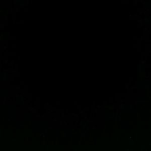 Meet your Posher, Nayeli