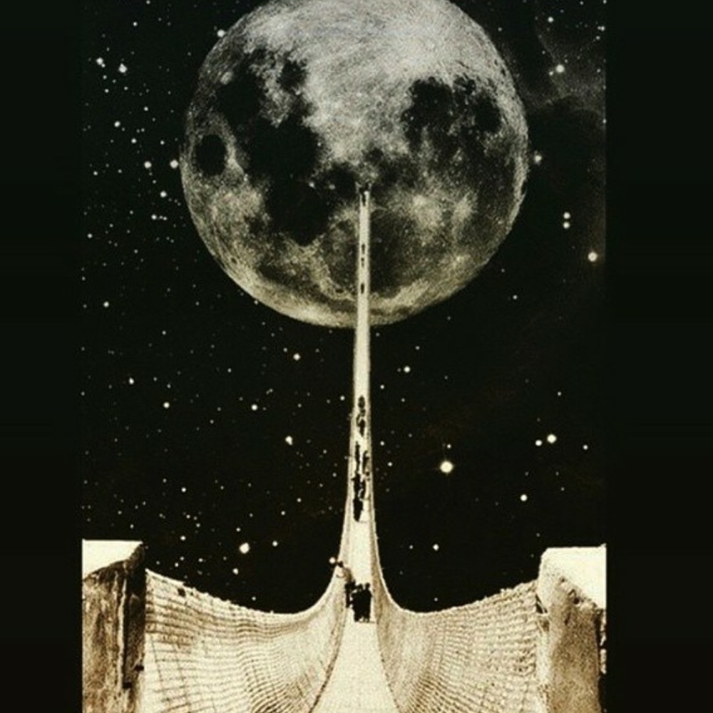 Meet your Posher, Chels