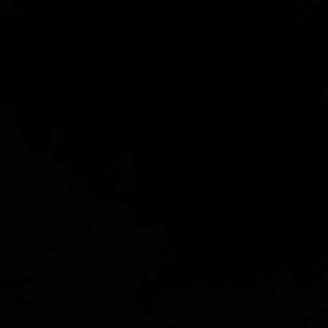 Meet your Posher, Bov