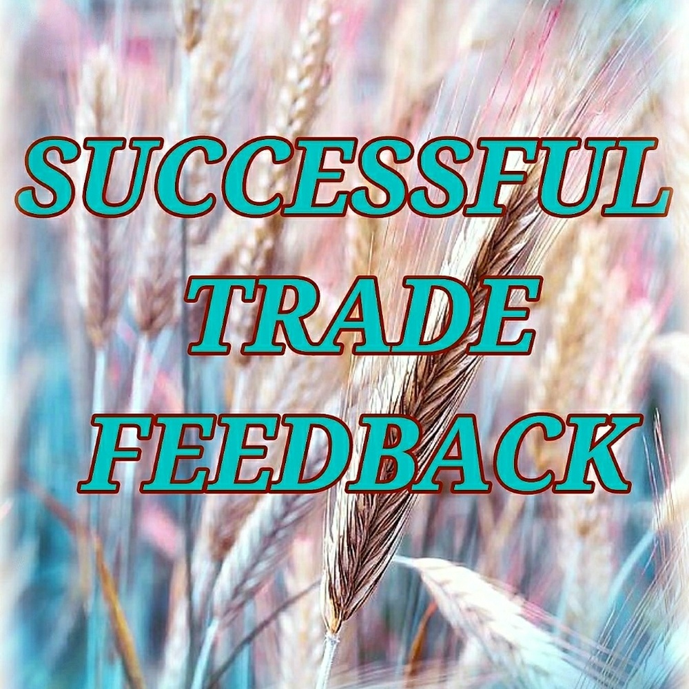 SUCCESSFUL TRADE FEEDBACK
