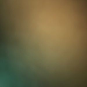 Meet your Posher, Ethan