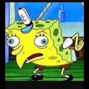 Meet your Posher, Owen