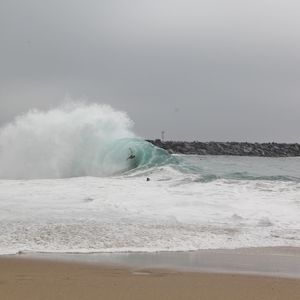 Meet your Posher, Luis