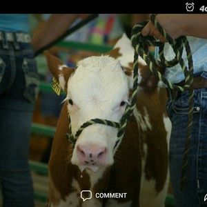 Meet your Posher, Tiffany