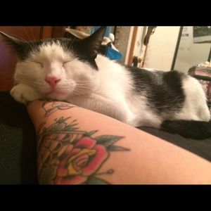 Meet your Posher, Soleya