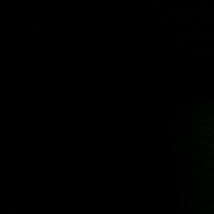 Meet your Posher, Ronnie