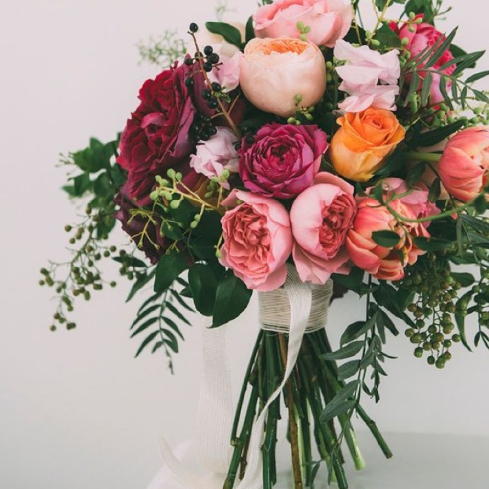 Meet your Posher, Liz