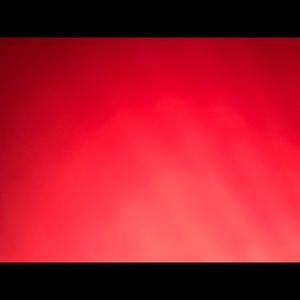 Meet your Posher, Nell